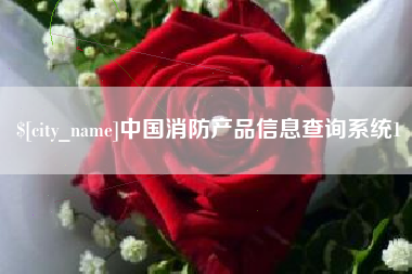崇左中国消防产品信息查询系统1