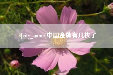 崇左中国金牌有几枚了