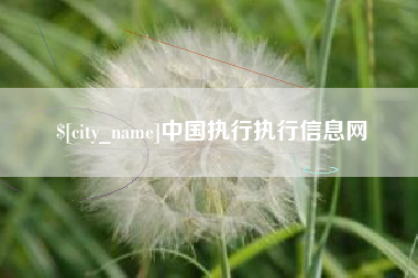 崇左中国执行执行信息网