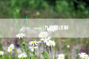 崇左九宫格详解