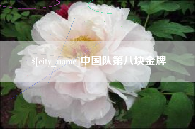 崇左中国队第八块金牌