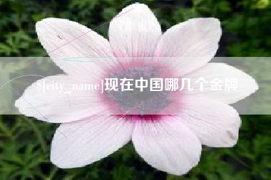 崇左现在中国哪几个金牌