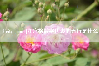 崇左九宫格数字代表的五行是什么