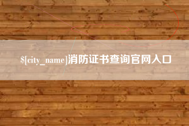 崇左消防证书查询官网入口