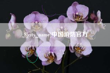 崇左中国消防官方