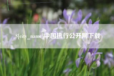 崇左中国执行公开网下载