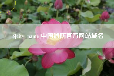 崇左中国消防官方网站域名