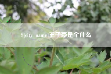崇左王子豪是个什么