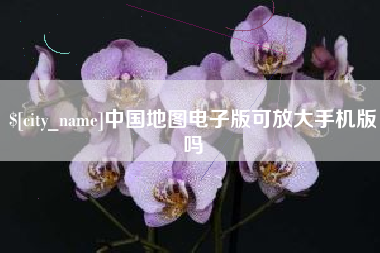 崇左中国地图电子版可放大手机版吗