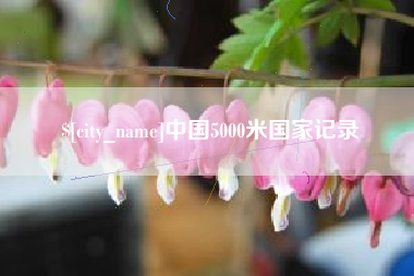 崇左中国5000米国家记录