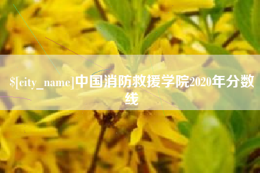 崇左中国消防救援学院2020年分数线
