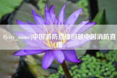崇左中国消防直播回放中国消防直播