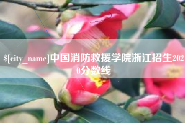 崇左中国消防救援学院浙江招生2020分数线