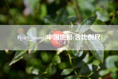 崇左中国地图(含比例尺)