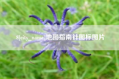 崇左地图指南针图标图片