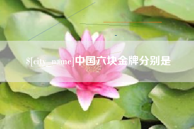 崇左中国六块金牌分别是