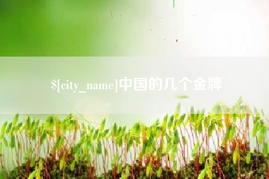 崇左中国的几个金牌
