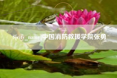 崇左中国消防救援学院张勇