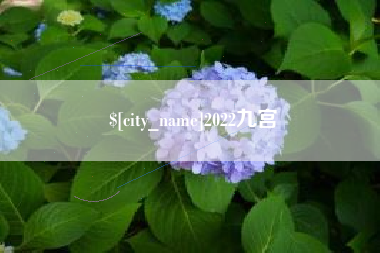 崇左2022九宫