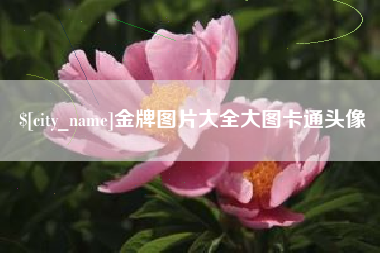 崇左金牌图片大全大图卡通头像