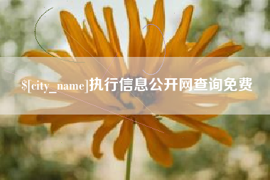 崇左执行信息公开网查询免费