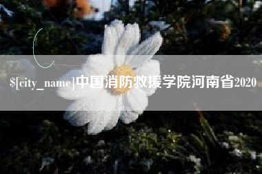 崇左中国消防救援学院河南省2020
